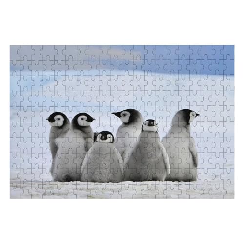 ペンギン パズル」の人気商品一覧 | 安い商品を通販サイトから探す